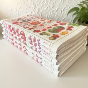 Paper Model – Fruit & Grocery Shop H071